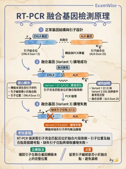 醫檢師 - 腫瘤疾病基因檢測 - AI 圖文解析預覽