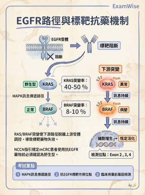 醫檢師 - 藥物相關基因檢測 - AI 圖文解析預覽