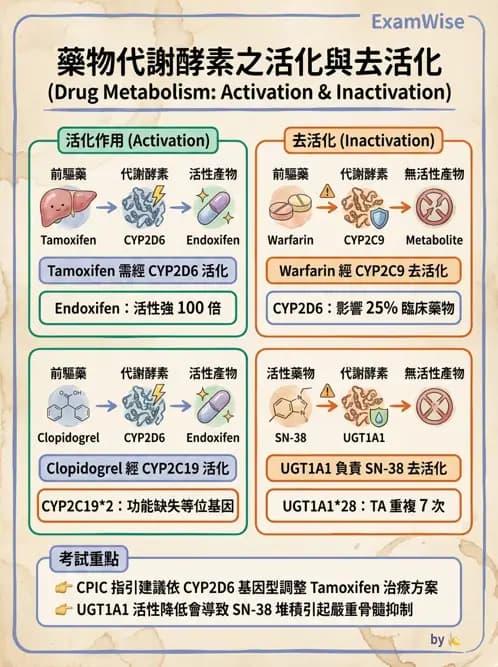 醫檢師 - 藥物相關基因檢測 - AI 圖文解析預覽