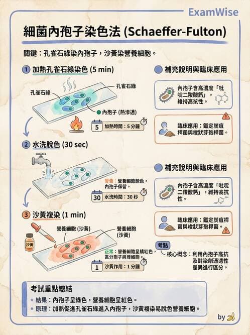 醫檢師 - 檢驗基礎技術 - AI 圖文解析預覽