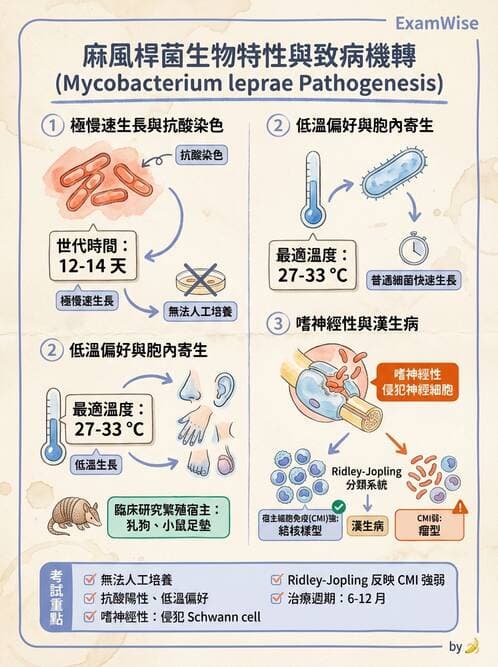 醫檢師 - 分枝桿菌 - AI 圖文解析預覽