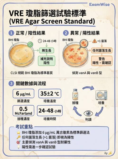 醫檢師 - 葡萄球菌與腸球菌 - AI 圖文解析預覽