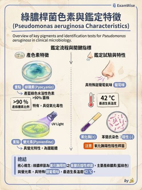 醫檢師 - 非發酵菌 - AI 圖文解析預覽