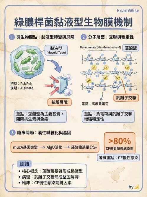 醫檢師 - 非發酵菌 - AI 圖文解析預覽