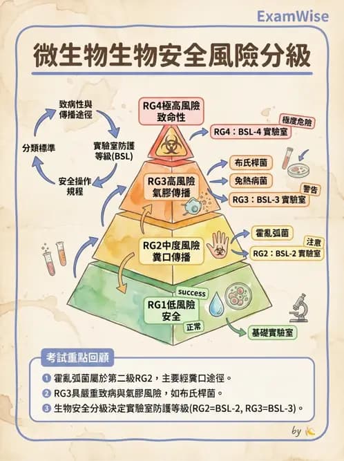 醫檢師 - 實驗室安全與微生物特性 - AI 圖文解析預覽