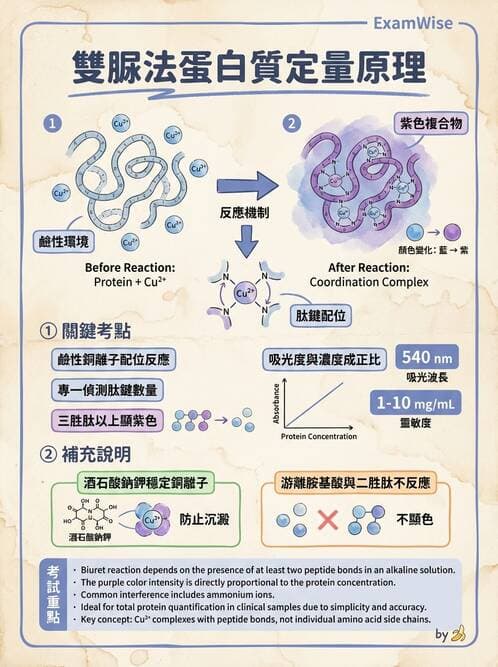 醫檢師 - 血清蛋白與蛋白質檢測 - AI 圖文解析預覽