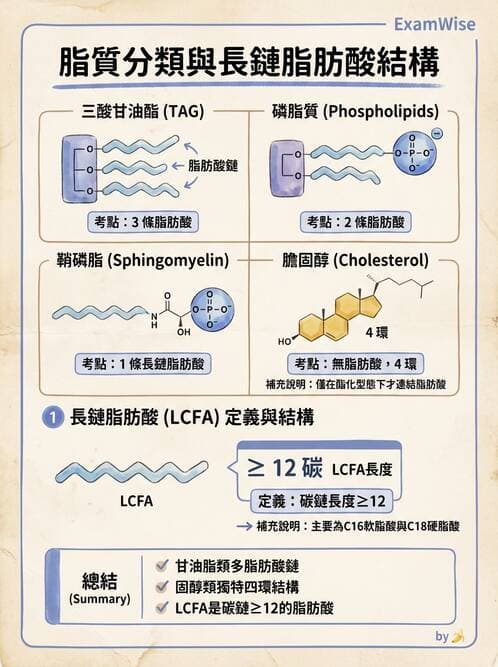 醫檢師 - 脂質代謝與酮體 - AI 圖文解析預覽