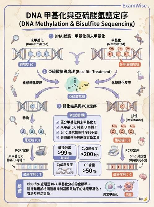 醫檢師 - 基本概念與儀器分析 - AI 圖文解析預覽