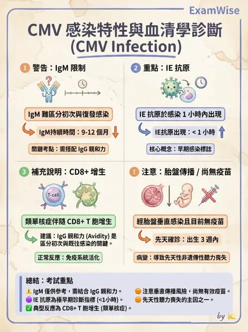 醫檢師 - 急性發炎蛋白與微生物感染血清學 - AI 圖文解析預覽