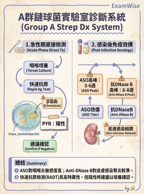 醫檢師 - 急性發炎蛋白與微生物感染血清學 - AI 圖文解析預覽