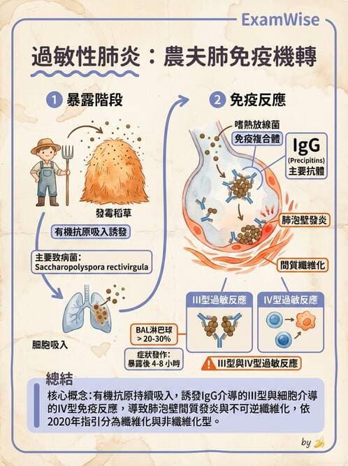 醫檢師 - 過敏反應及測試法 - AI 圖文解析預覽