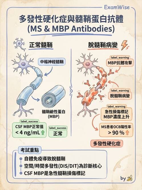 醫檢師 - 其他自體免疫疾病與自體抗體檢驗 - AI 圖文解析預覽