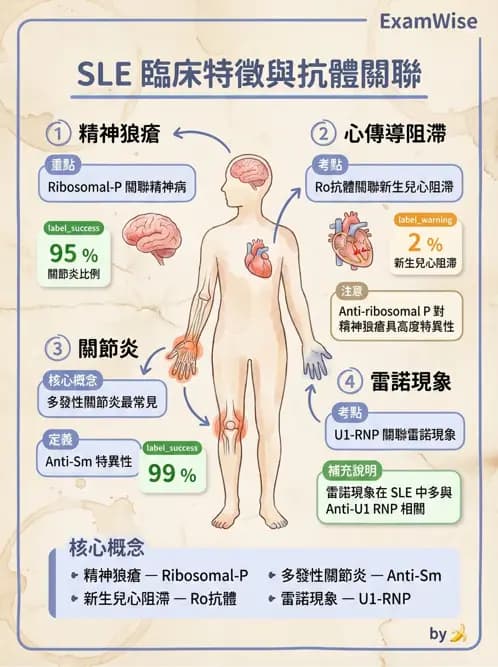 醫檢師 - 全身性紅斑性狼瘡與抗磷脂質症候群 - AI 圖文解析預覽