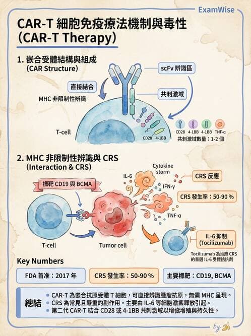 醫檢師 - 腫瘤免疫學免疫療法及疫苗 - AI 圖文解析預覽
