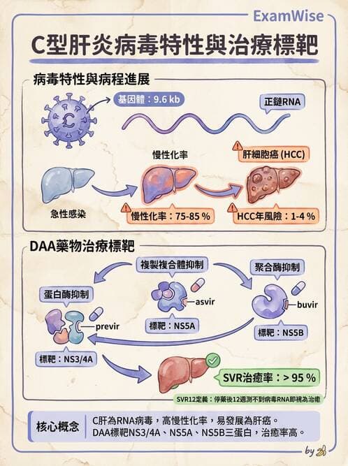 醫檢師 - 黃病毒科與蟲媒病毒 - AI 圖文解析預覽
