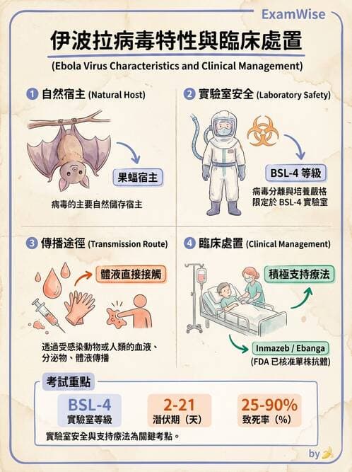 醫檢師 - 其他RNA病毒 - AI 圖文解析預覽
