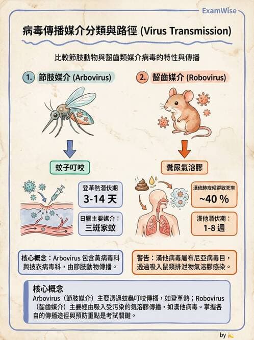 醫檢師 - 黃病毒科與蟲媒病毒 - AI 圖文解析預覽