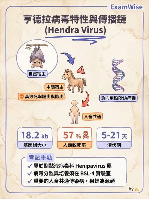 醫檢師 - 副黏液病毒科 - AI 圖文解析預覽
