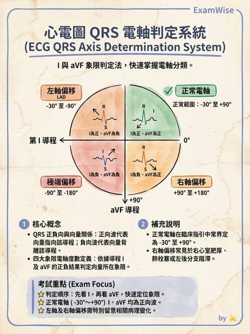 醫檢師 - 心電圖基礎與判讀 - AI 圖文解析預覽