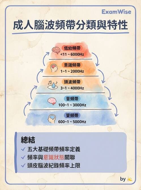 醫檢師 - 腦電圖檢查 - AI 圖文解析預覽