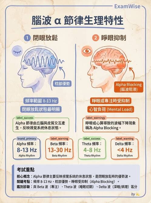 醫檢師 - 腦電圖檢查 - AI 圖文解析預覽