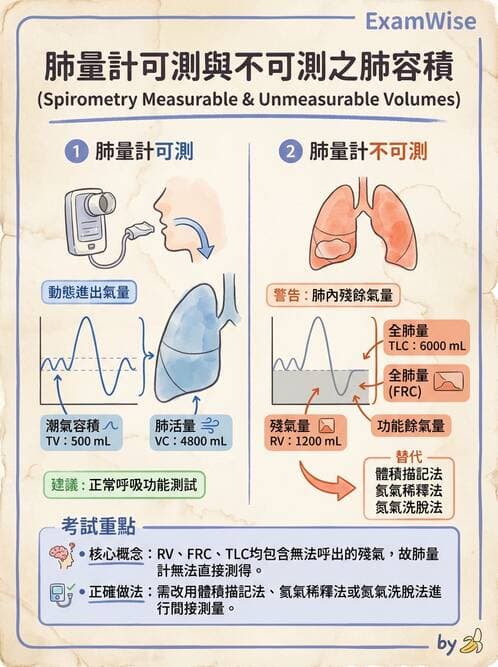 醫檢師 - 肺功能基礎與指標 - AI 圖文解析預覽