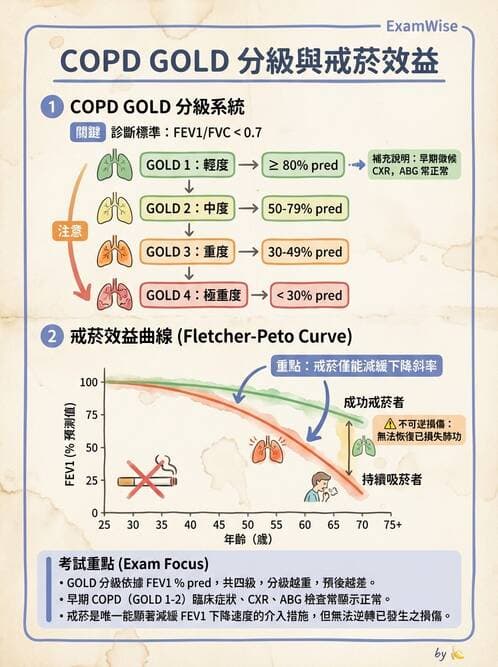 醫檢師 - 肺功能判讀與氣體交換 - AI 圖文解析預覽