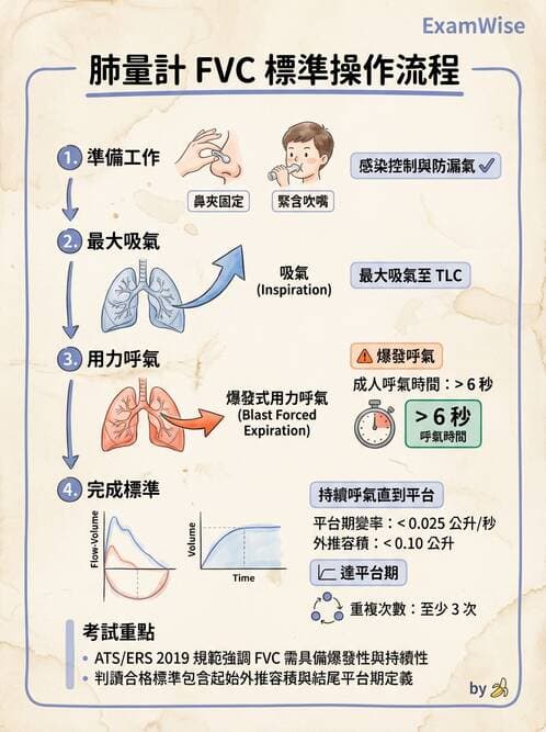 醫檢師 - 肺功能基礎與指標 - AI 圖文解析預覽
