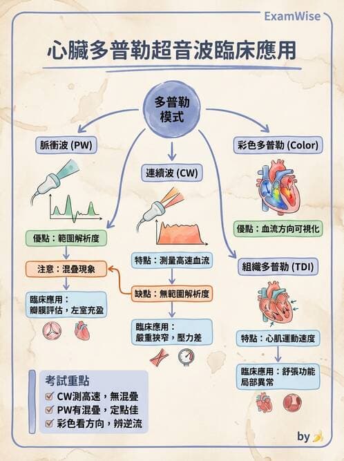 醫檢師 - 超音波檢查 - AI 圖文解析預覽