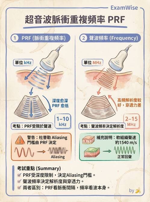 醫檢師 - 超音波檢查 - AI 圖文解析預覽