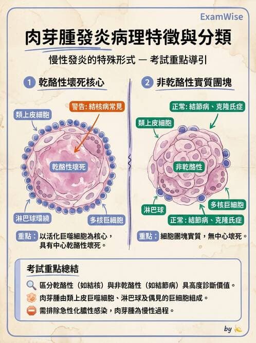 醫檢師 - 細胞傷害、發炎與修復 - AI 圖文解析預覽