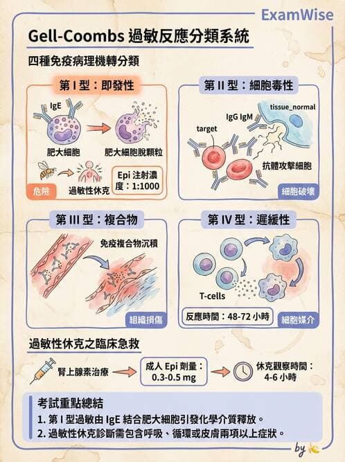 醫檢師 - 免疫疾病 - AI 圖文解析預覽