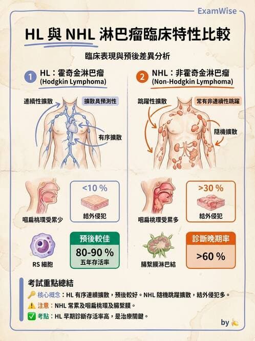 醫檢師 - 造血系統疾病 - AI 圖文解析預覽