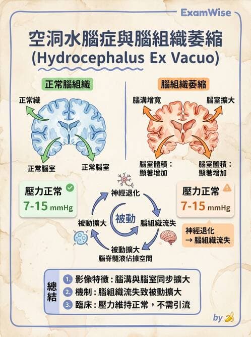 醫檢師 - 神經系統疾病 - AI 圖文解析預覽