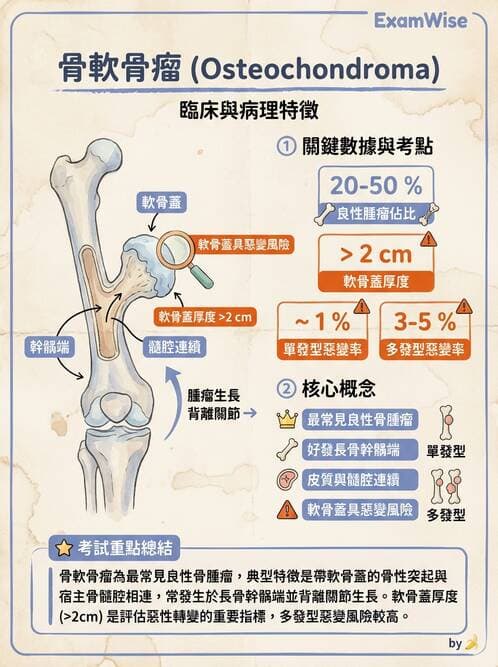 醫檢師 - 骨骼及軟組織疾病 - AI 圖文解析預覽