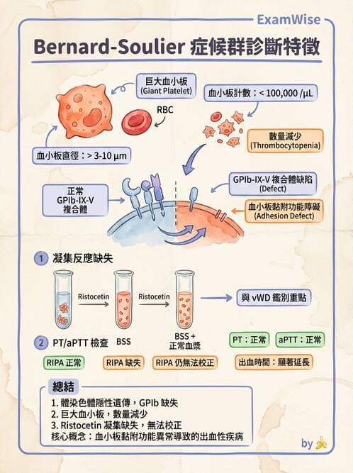 醫檢師 - 出血性疾病與檢驗 - AI 圖文解析預覽