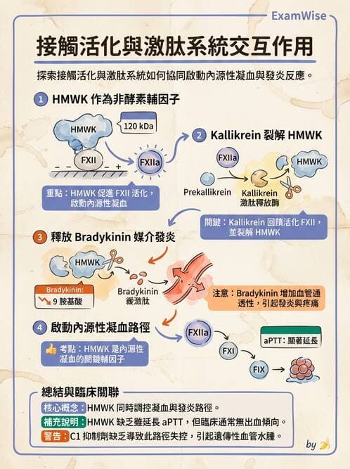 醫檢師 - 凝血因子與凝血檢驗 - AI 圖文解析預覽