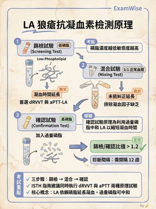 醫檢師 - 血栓性疾病與抗凝治療監測 - AI 圖文解析預覽