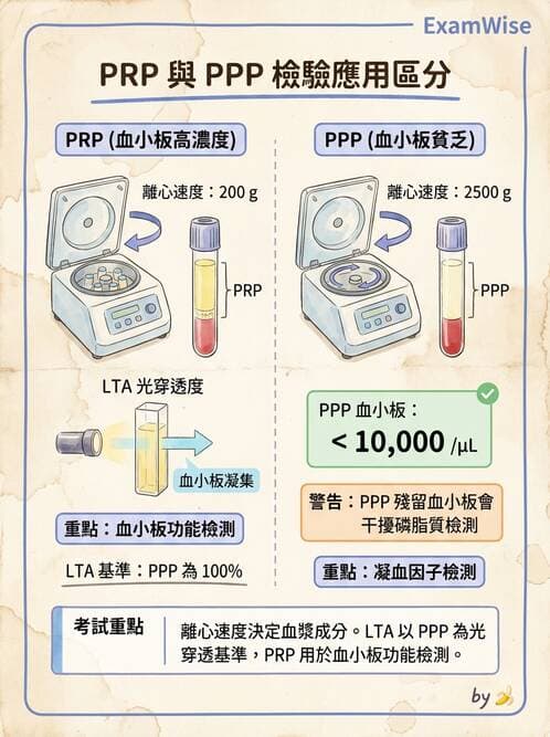 醫檢師 - 血小板與止血生理 - AI 圖文解析預覽