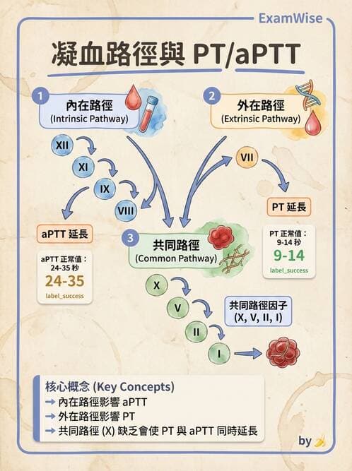 醫檢師 - 出血性疾病與檢驗 - AI 圖文解析預覽