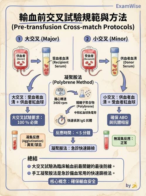 醫檢師 - 血液成分製備與輸血檢查 - AI 圖文解析預覽