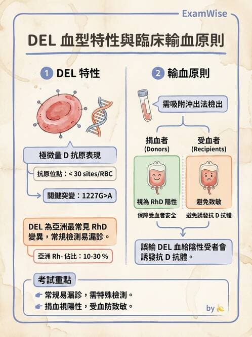 醫檢師 - 紅血球抗原與血型系統 - AI 圖文解析預覽