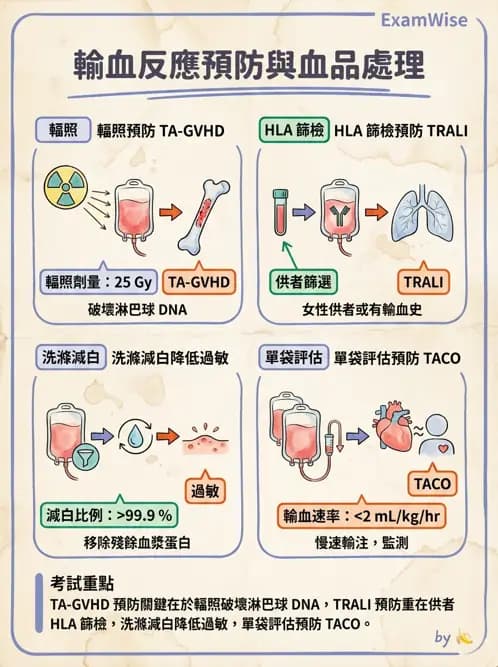 醫檢師 - 輸血反應與血庫品管 - AI 圖文解析預覽