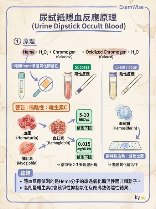 醫檢師 - 尿液化學檢驗 - AI 圖文解析預覽