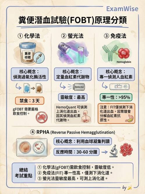 醫檢師 - 糞便常規檢查 - AI 圖文解析預覽