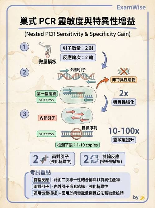 醫檢師 - 核酸擴增與萃取技術 - AI 圖文解析預覽