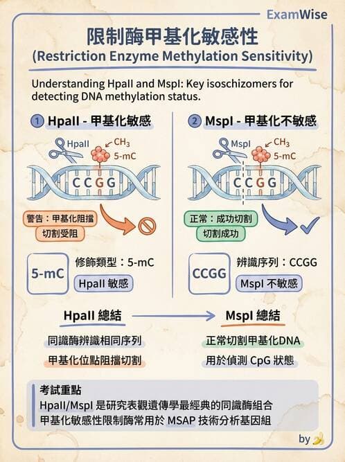 醫檢師 - 核酸擴增與萃取技術 - AI 圖文解析預覽