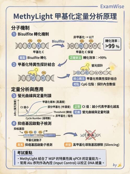醫檢師 - 定序電泳與表觀分析 - AI 圖文解析預覽