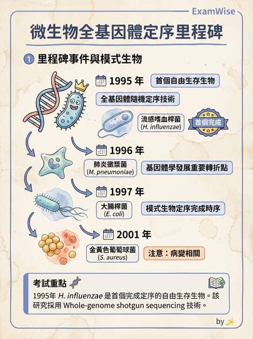 醫檢師 - 基礎分子生物學 - AI 圖文解析預覽