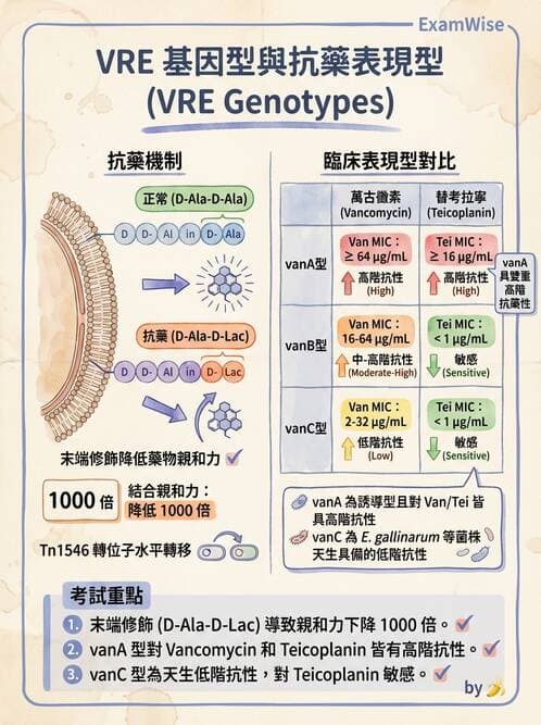 醫檢師 - 感染症分子檢驗 - AI 圖文解析預覽
